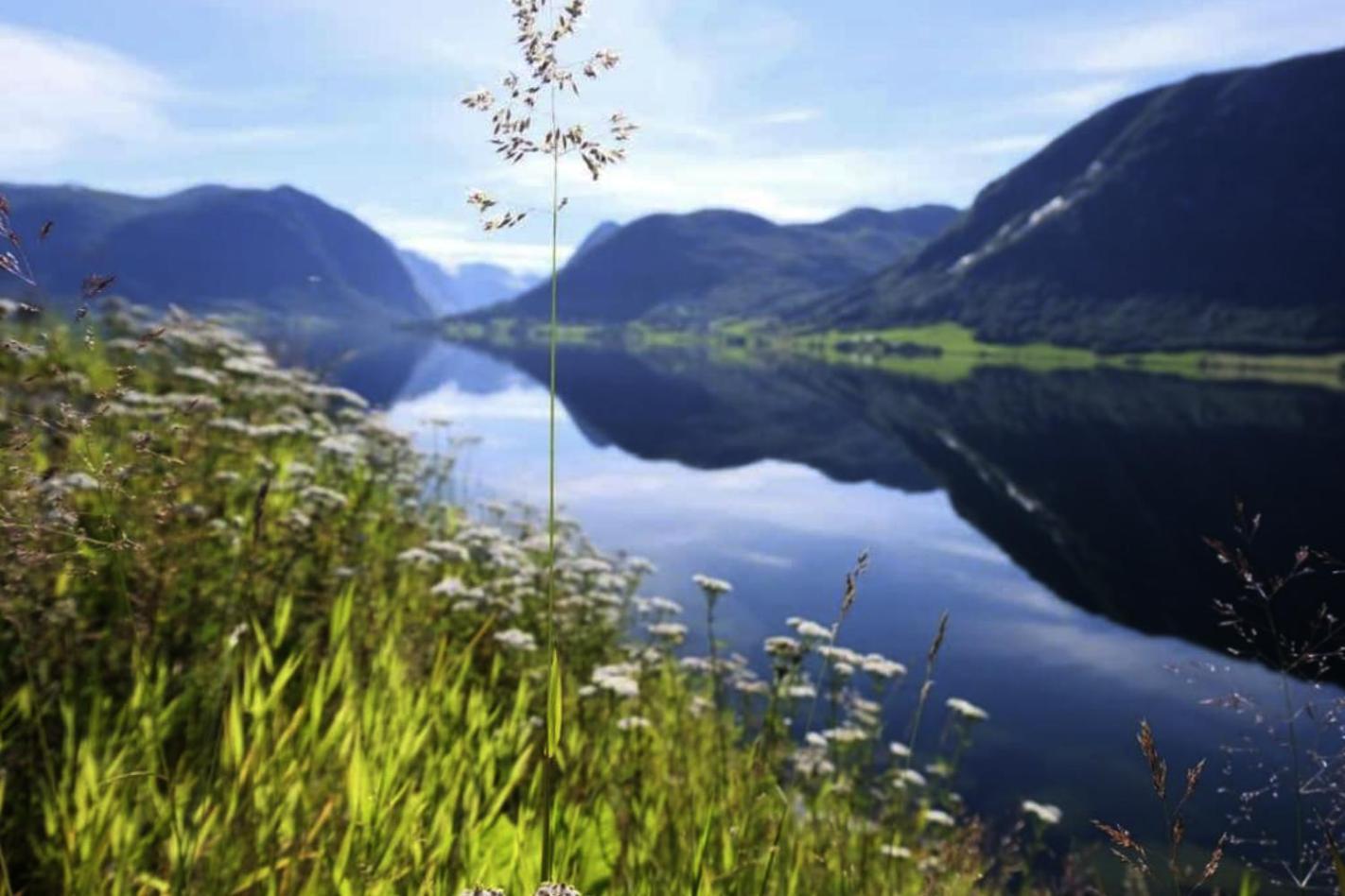 Jolster Lake View Årdal Екстериор снимка